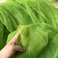 Grass Green
