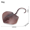 Ray