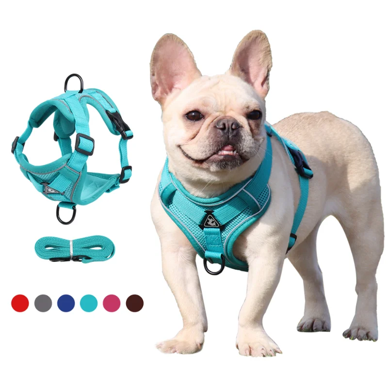 No Pull Dog Harness and Leash Set Adjustable Pet Harness Vest For Small