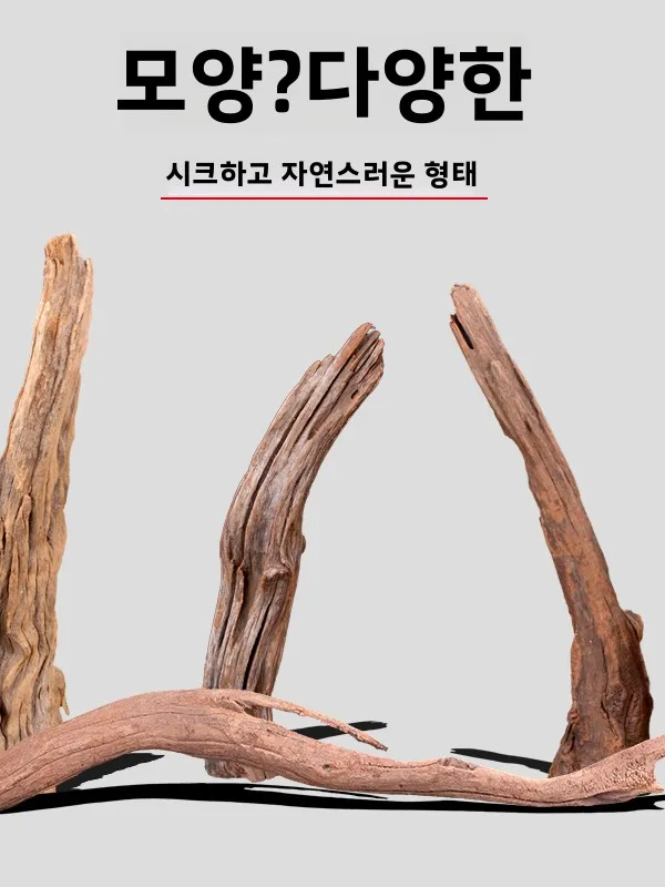 장식 장식수초 수조 장식수초 수조 장식수초