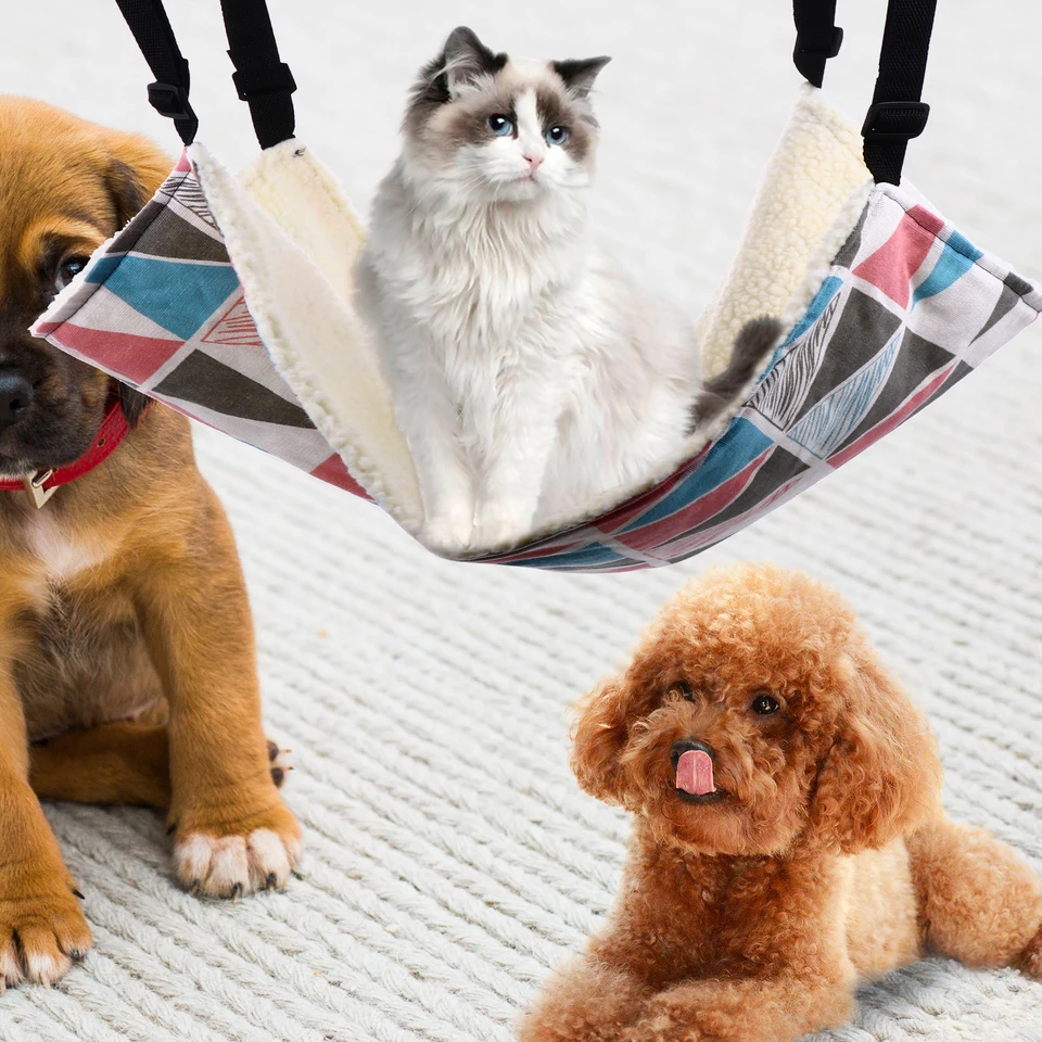 Fhiny Cat Hammock Bed - Free-Standing Elevated Cot With Removable Mesh, Heavy Duty Frame (16.5"L X 17.7"W X 9"H)