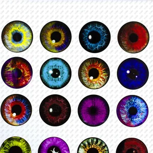 2-10pcs/lot Round Dome Cat Dragon Eye Photo Glass Cabochon 8mm To 30mm Diy Jewelry Findings for Pendants Earrings Making