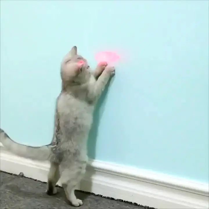 Интерактивная игрушка для кошек 3-в-1 лазерная указка домашних животных забавная