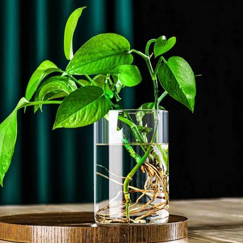 Modern Clear Glass Flower Vase Glass Cylinders Vase Florals Container Flower Vase Elegant Table Centerpieces Decorations 5