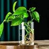 Modern Clear Glass Flower Vase Glass Cylinders Vase Florals Container Flower Vase Elegant Table Centerpieces Decorations 5
