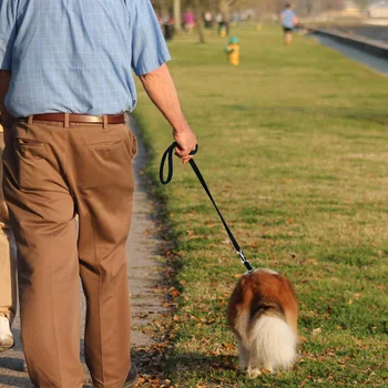 Adjustable Dog Leash for Halti Training, Lead Belt, Hand-Free, Double Ended Police Style for Puppy Walking and Running, 2M, 6ft 3