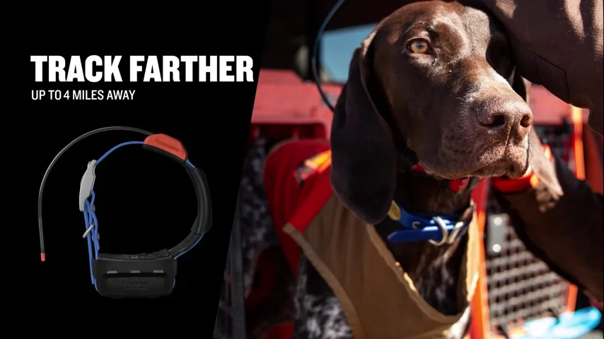 Garmin T5 X Dog Device, Tracking and Training Dog Device
