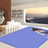 Digimon cartoon  Entrance Door Mat Washable Non-Slip Living Room Sofa Chairs Area Mat Kitchen Welcome Doormat 3