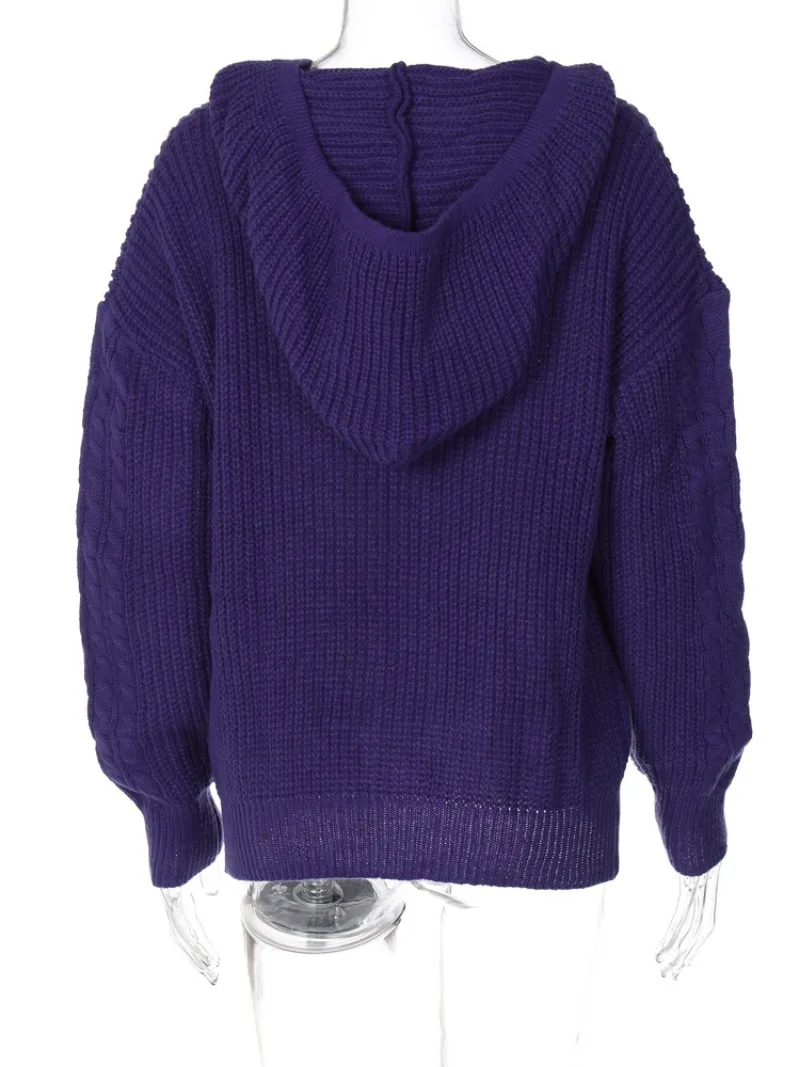 Knitted Hoodies Sweater Women Loose Long Sleeve Autumn Pullover Woman Street Casual 2025 Baggy Coat Female Winter Clothes