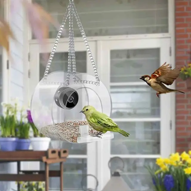 My built-in bird feeder window, window, bird feeder