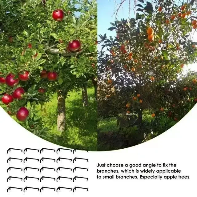 Fruit Tree Clips Plant Vines Support Twisting Shapers Branches Puller Twist Styling Curved 10-30Pcs plastic plant clips plant clips