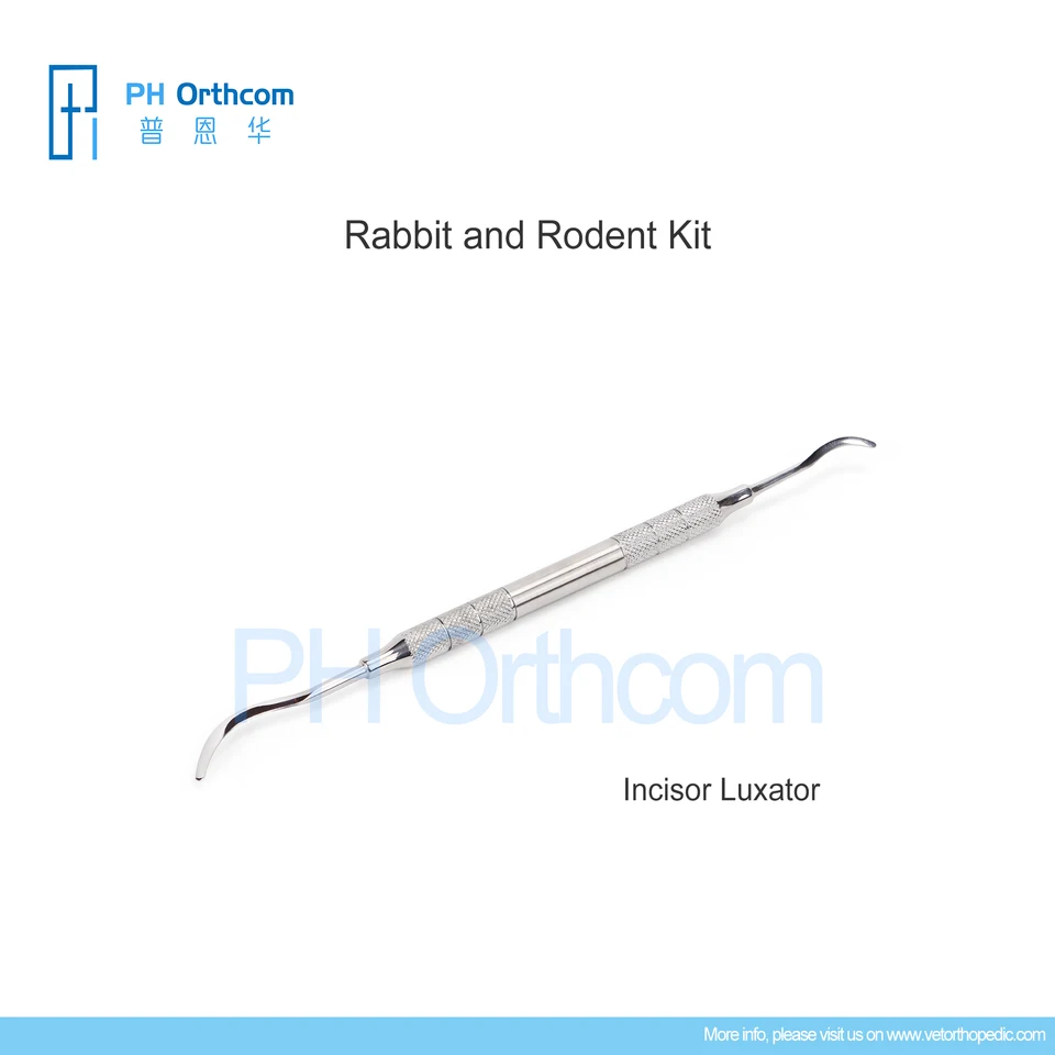 げっ歯類・ウサギ・フェレットのX線アトラス げっ歯類・ウサギ・フェレットのX線アトラス 解剖図とポジショニング