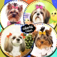 10PCS Pet Dog Hair Clips Fresh Summer Style Solid Colour Pet Hair Clip for Cute Medium Small Dog Cats Pet Removable Accessories 2