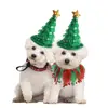 2Pcs Small Dogs Pet Christmas Costume Suit Elf Hat Elastic Strap Cat Tutu Collar and Hat Set Cosplay Gauze 3