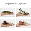 Children Simulation Biology Model Toys Animal Plant Life Growth Cycle Montessori Educational Learning Toy For Kids Teaching Aids 5