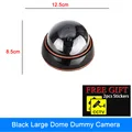 Large dome2