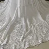 Customized ZJ6032 Chiffon Wedding Dresses for Women 2025 Summer New Sleeveless Bridal Gowns with Lace New Court Train 4