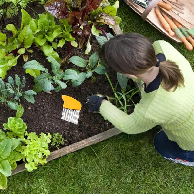 Gyomirtó Kefe 2Db Huzalkefék A Kézikönyv Tisztításához Rozsdamentes Acél Gyomvágó Mohás Eltávolító Szerszám Fű Terasz - Image 3