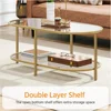 Coffee Table Oval Gold Glass 2-Tier Coffee Table, 42-Inch,   With Storage Shelves and Metal Frame,Living Room Coffee Table 3