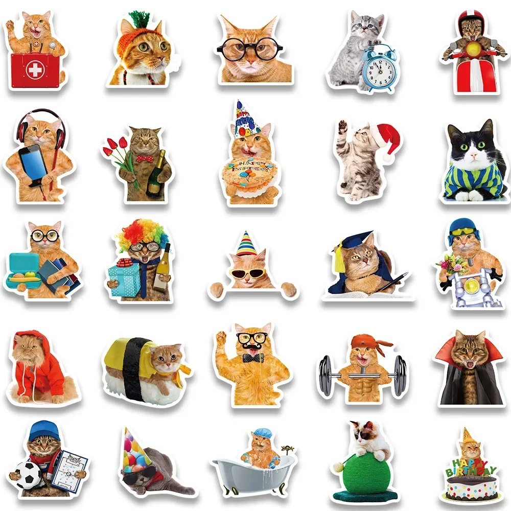 Cat Stickers Funny Cute Cat MEME Animals Stickers Kawaii Cats Decals Scrapbooking Notebook Luggage Laptop Skateboard Sticker Toy