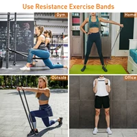 Lixada 5 Packs Pull Up Assist Bands Set Resistance Loop Bands Powerlifting Workout Exercise Stretch Bands and Carry Bag - Image 3