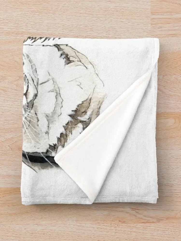 0445(8) ������ ���, ���� ���� ���� �ε巯�� ���� ���