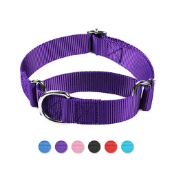 Adjustable Heavy Duty Nylon Martingale Collar - M (Purple)