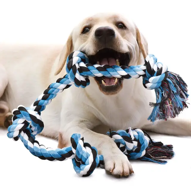 Best Indestructible Dog Toys, Tough Toys