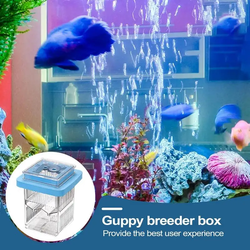 Guppy Breeder Box Floating Clear Frame Hatching Box Aquatic Life Hatchery Incubator Tank Clear Divider Resting Case