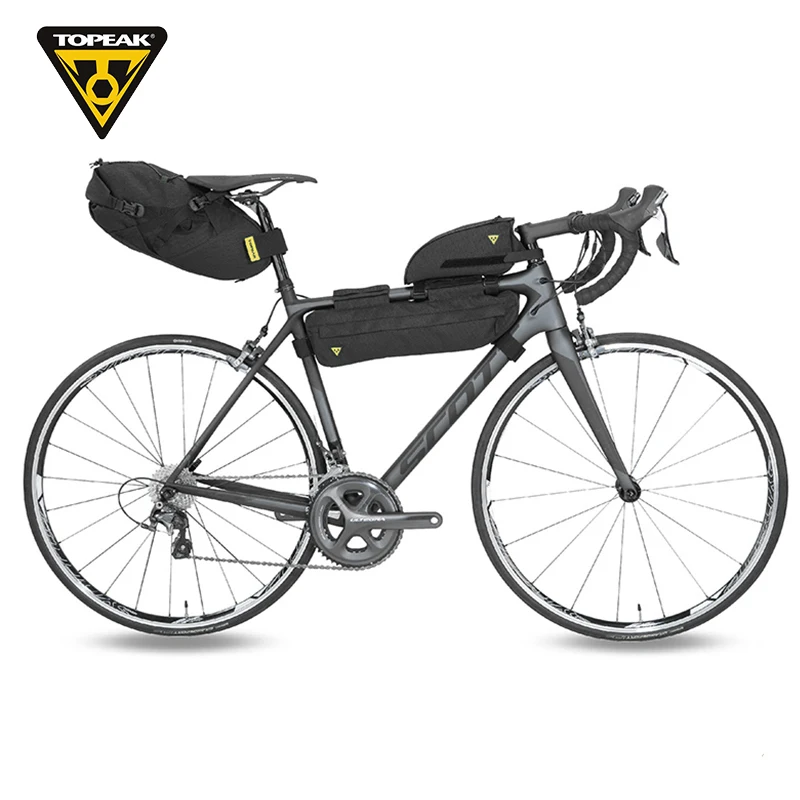 Topeak Backloader X 10L Satteltasche, grün | PDA Max