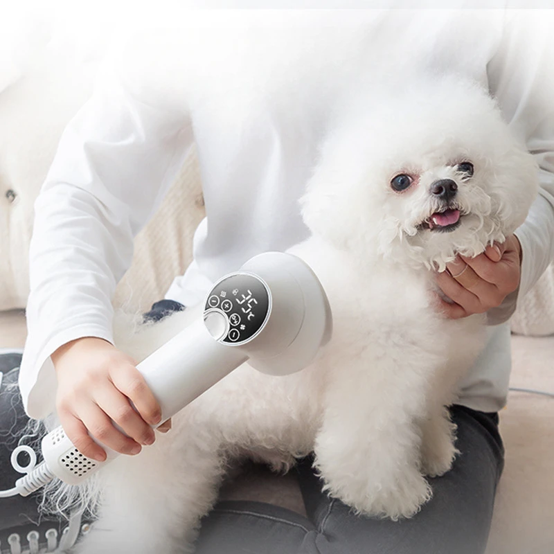 Pet intelligent hair dryer for dog/cat beauty LED display screen IOU temperature and wind speed control pet supplies hair dryer pet hair dryer