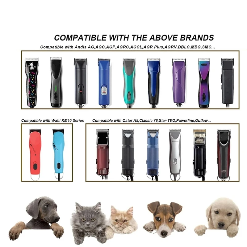 Slide image bbbc165f976e40c68642fed646526a89