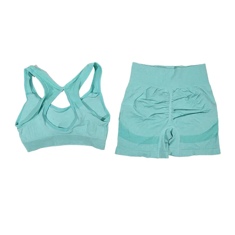 Womens Yoga Set - Fitness Vest  Shorts for Running and Workouts