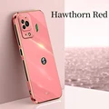 Hawthorn Red