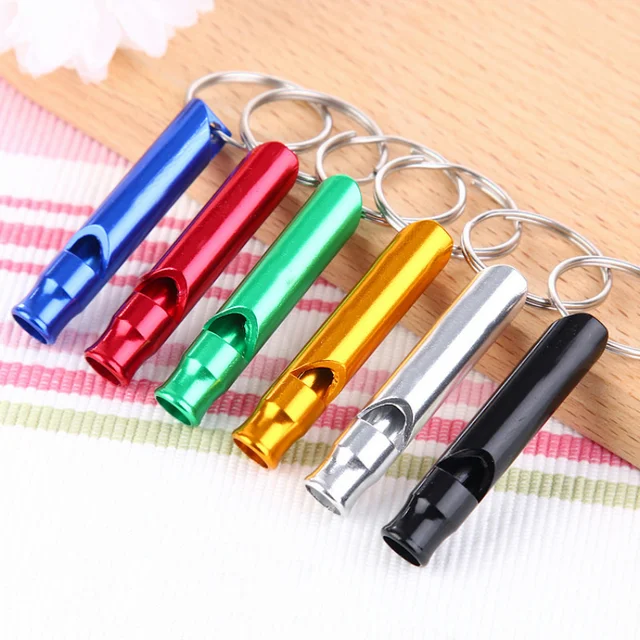 Mini Metal Whistle with Keychain for Pets 1