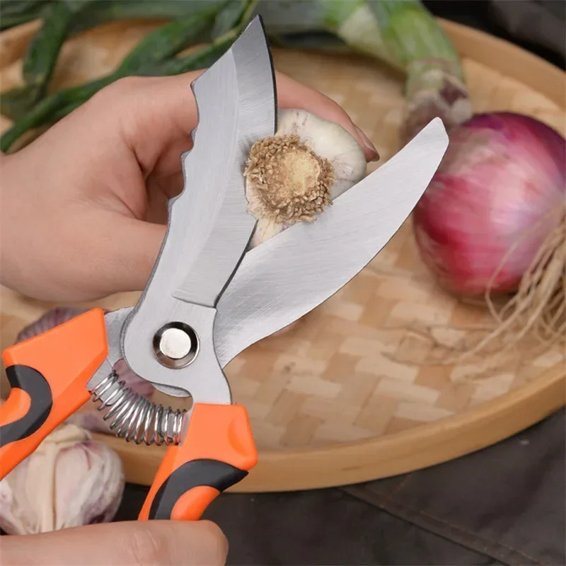 Spring Design Two-Color Plastic Handle Garlic Scissors Big End Scissors Vegetable Trimming Onion Shears Cooking Kitchen Cutter 3