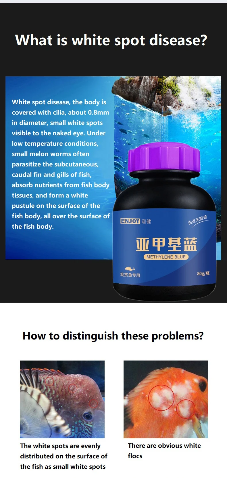 Methylen blau Zier fisch zur Entfernung von weißen Flecken im Aquarium und Fisch krankheiten Medizin Koi Goldfisch Betta Blood Papagei – Detail 2