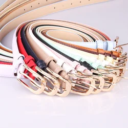 Network Fashion Pu Decorative Women's High-quality Alloy Needle Buckle Belt Leopard Print Retro