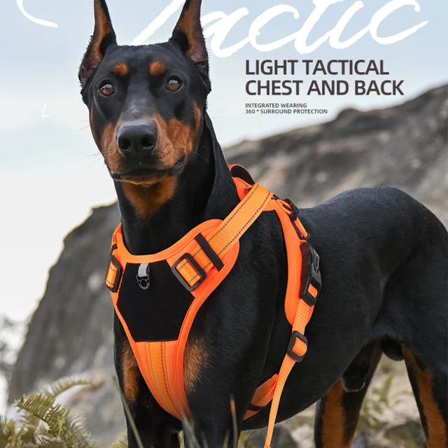 Pet Harness Multi Functional Nylon Reflective Dog Harness Adjustable No Pull Comfortable Control Dog Chest Harness Pet Supplies Pet Harness Multi Functional Nylon Reflective Dog Harness Adjustable No Pull Comfortable Control Dog Chest Harness Pet Supplies