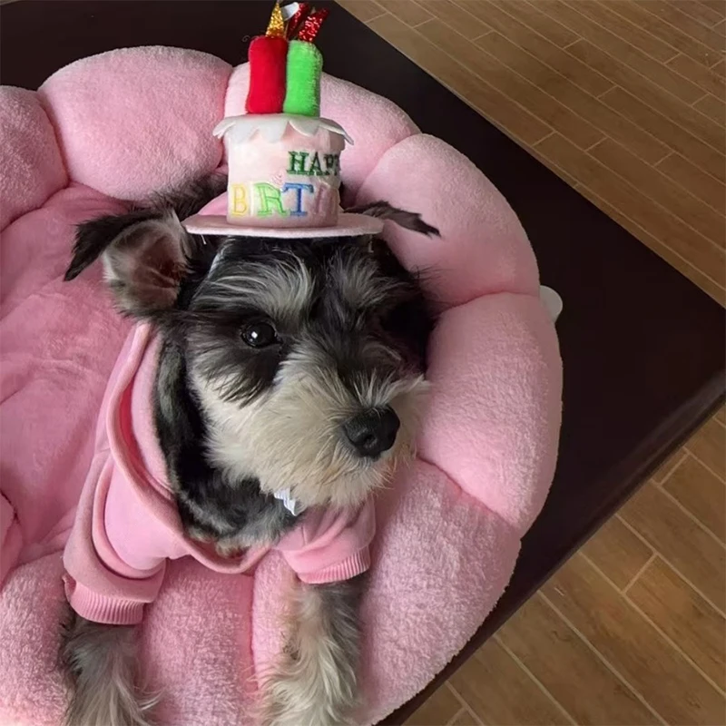 귀엽고 사랑스러운 강아지 고양이 생일 케이크 모양 모자, 조절 가능한 강아지 고양이 모자, 애완동물 생일 모자, 애완동물 캡, 드레스업 모자, 애완용품