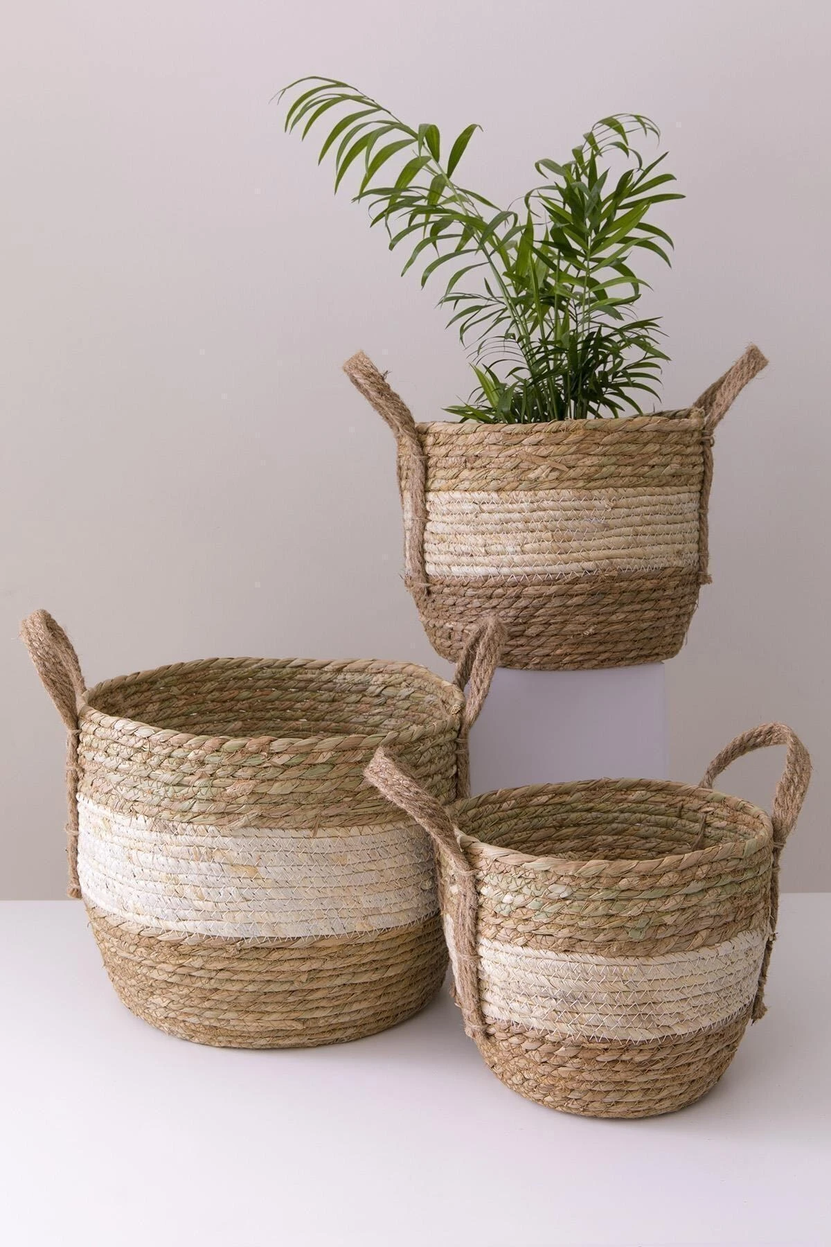 Stella White Stripe Straw Basket 3 Size Lux Organizer, Flower Pot Basket,  Decorative Basket, Home Decor|Storage Baskets| - AliExpress