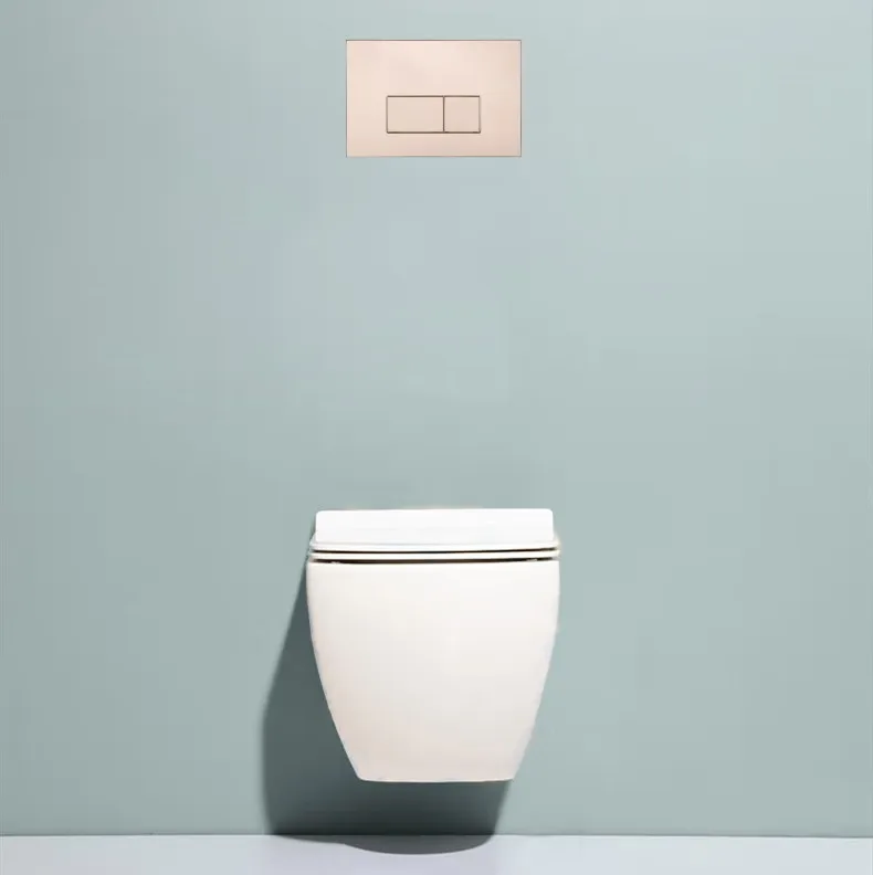 Push Button Toilet for WC, Concealed Flushing Cistern, Wall-mounted, Mechanical, Slim