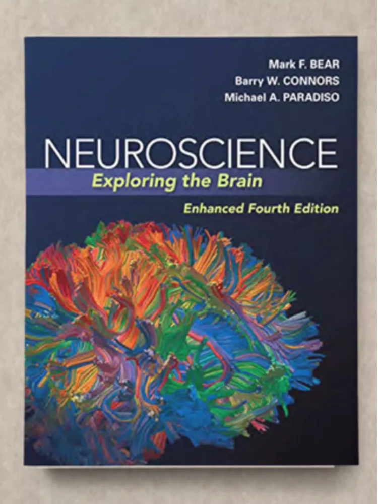 

Нейронаука: Исследование мозга 4-го