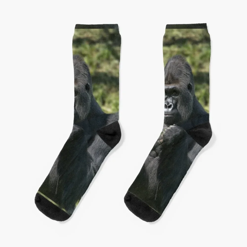 

Silverback Gorilla Portrait Socks retro tennis Socks Ladies Men's