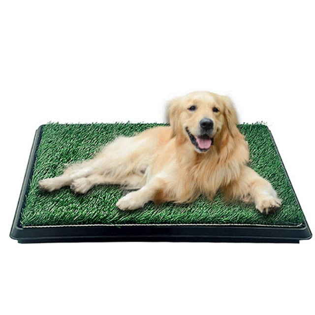 Portable Dog Training Mat