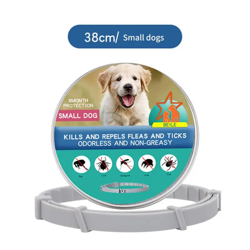 38cm small dog box