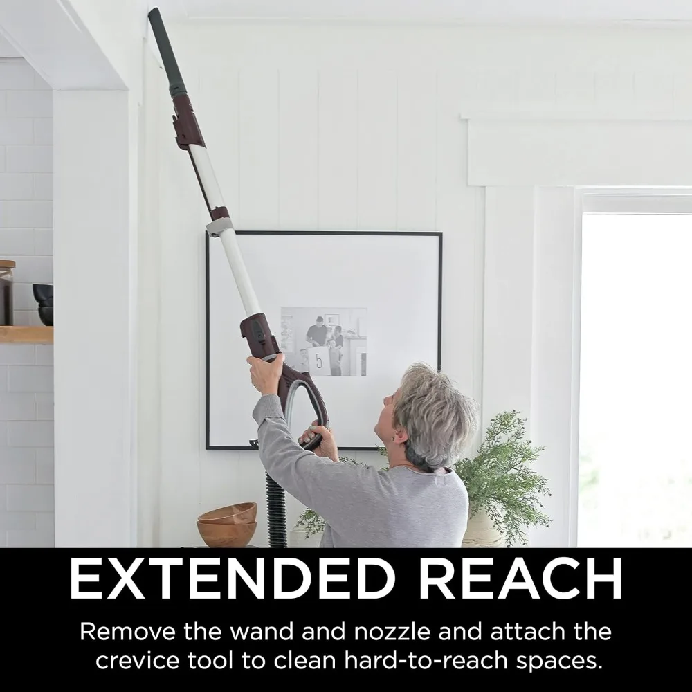 NV752 Rotator Powered Lift-Away TruePet Upright Vacuum with HEPA Filter, Large Dust Cup Capacity, LED Headlights 5