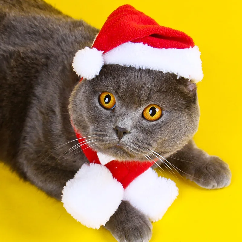 Gattini Vestito Natalizio Gatto Vestiti Da Babbo Natale Per Gatti - Main Image