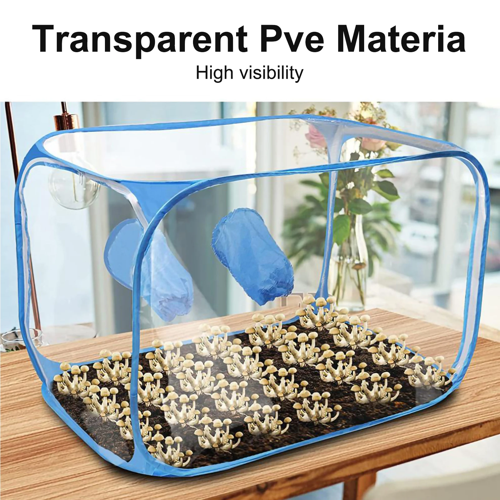 Slide image 38782161cb0d43acaec5a3e14fa8b8e5