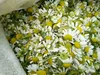 LIGHTENING Skin Soap, Face & Body Wash, Deep Skin Cleanser, ACTIVE & EFFECTIVE 6